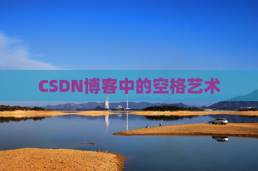CSDN博客中的空格艺术